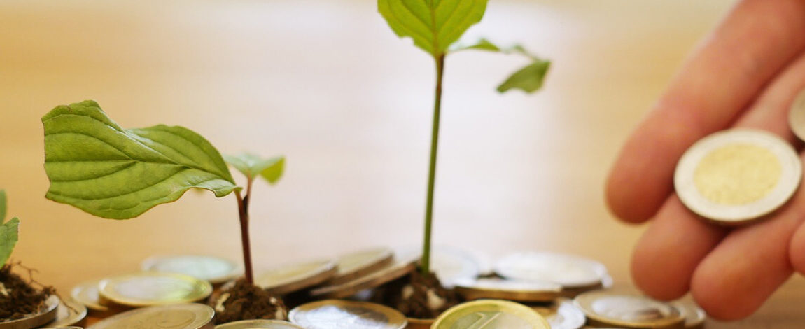 Hand geeft groeiende plantjes muntjes in plaats van water